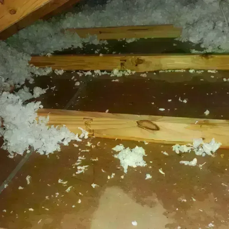 Attic Water Damage in Pueblo County, CO