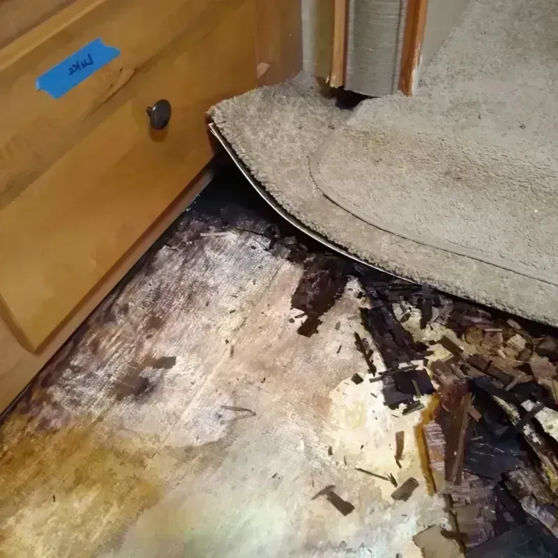 Wood Floor Water Damage in Pueblo County, CO